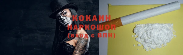 стафф Дмитров