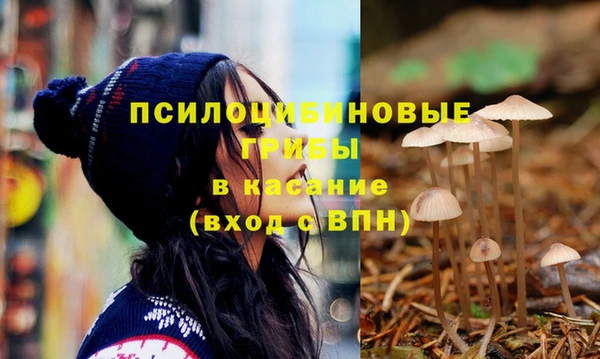 гашишное масло Дмитриев
