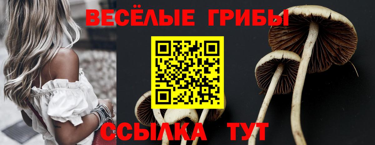 Псилоцибиновые грибы GOLDEN TEACHER  Маркс 